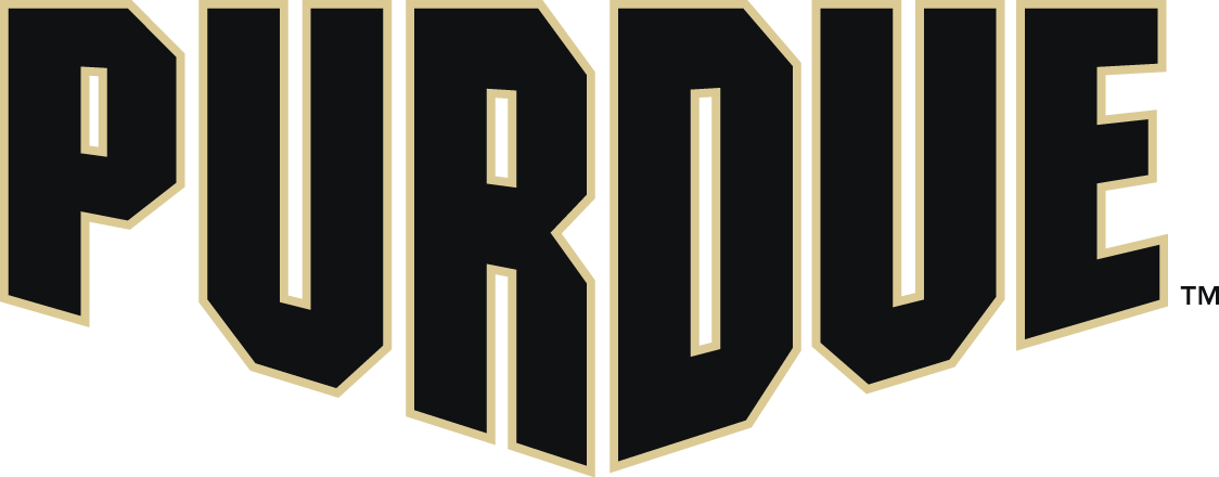 Purdue Boilermakers 2012-Pres Wordmark Logo v8 iron on transfers for T-shirts